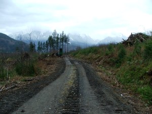 forest service road 62