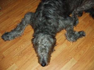 Or simply a place to lay your head?