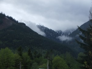 The view from my back yard