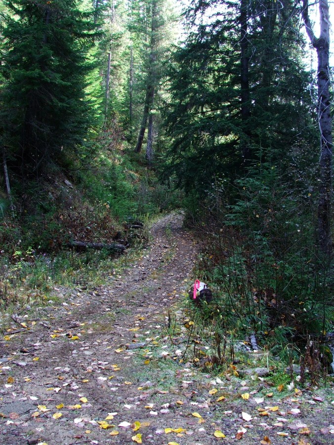 Potential piece of cover for book #3, Ghost Roads