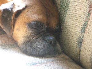 Skywalker von Stowe (aka Luke)