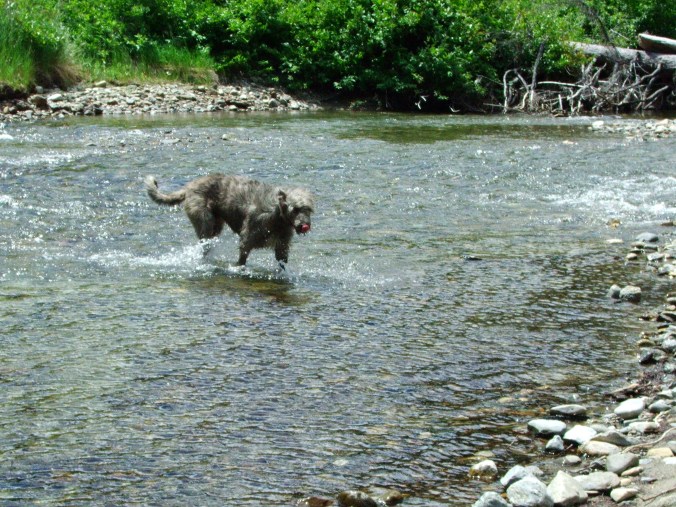 camping, climbing, miscellaneous 065