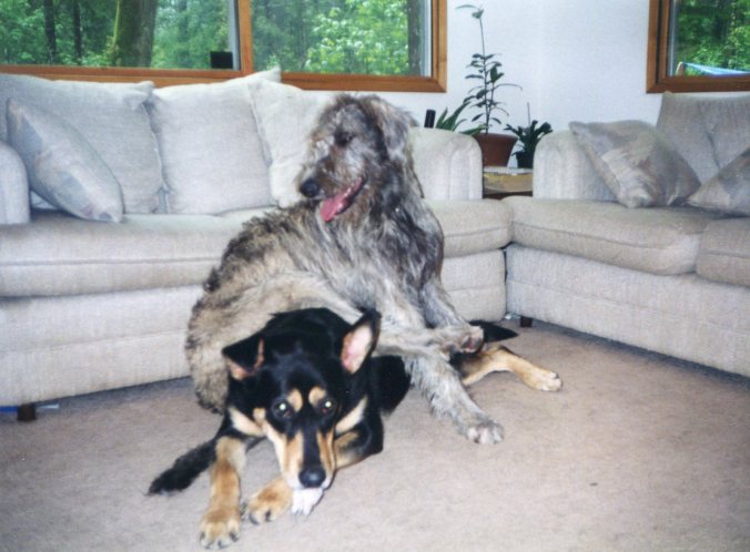 Maggie sitting on Sorka