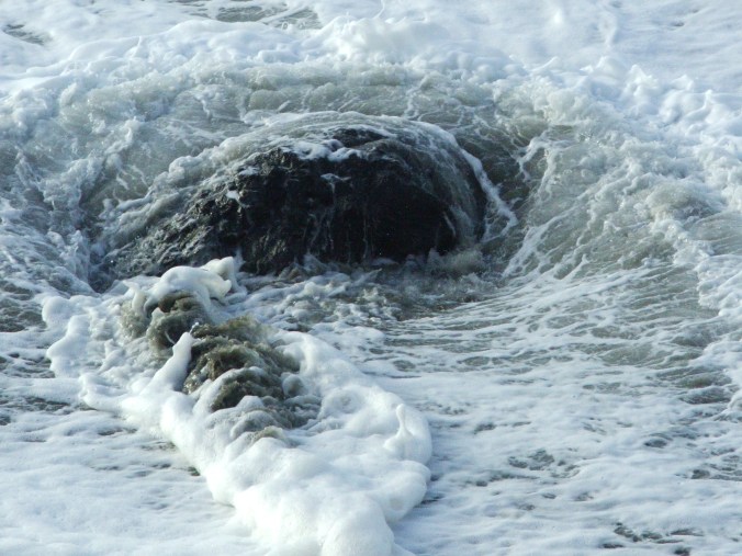 lincoln city jan 06 027